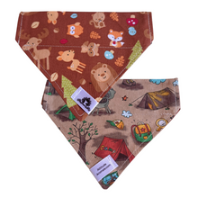 Charger l&#39;image dans la galerie, Foulard réversible 2 en 1 pour chat et petit chien - PR038
