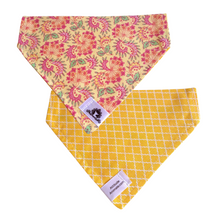 Charger l&#39;image dans la galerie, Foulard réversible 2 en 1 pour chat et petit chien - PR046
