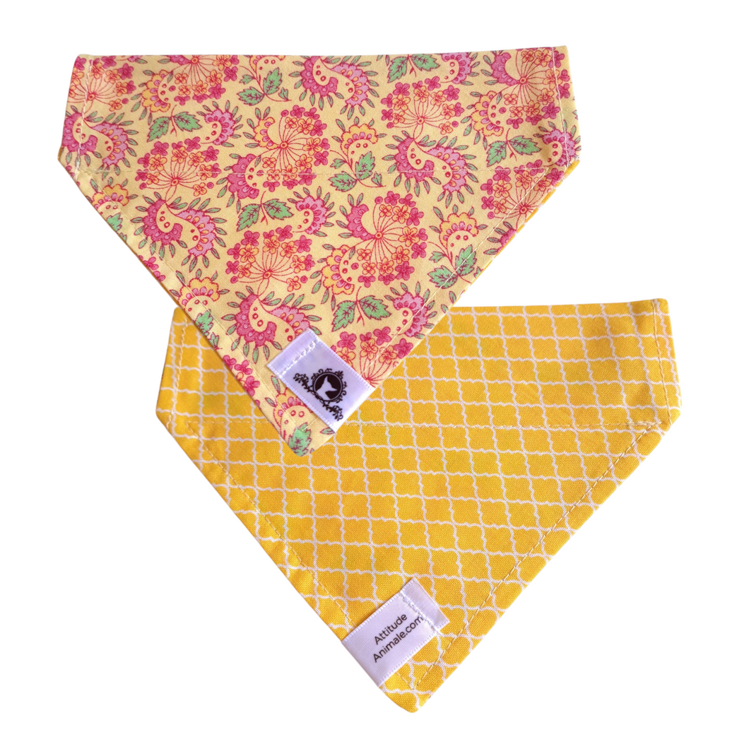 Foulard réversible 2 en 1 pour chat et petit chien - PR046