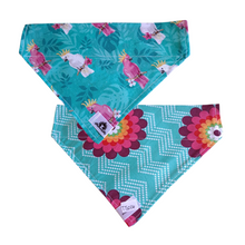 Charger l&#39;image dans la galerie, Foulard réversible 2 en 1 pour chien moyen - MR008

