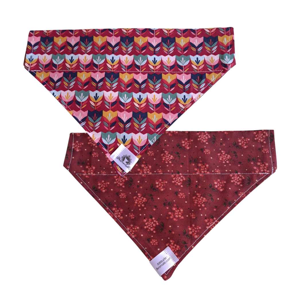 Foulard réversible 2 en 1 pour grand chien - GR038