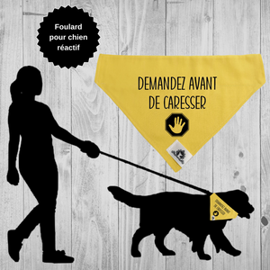 Foulard pour petit chien - DEMANDEZ AVANT DE CARESSER - pour chien anxieux réactif