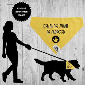Foulard pour grand chien anxieux réactif - DEMANDEZ AVANT DE CARESSER
