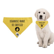 Charger l&#39;image dans la galerie, Foulard pour petit chien - DEMANDEZ AVANT DE CARESSER - pour chien anxieux réactif
