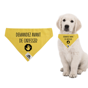 Foulard pour petit chien - DEMANDEZ AVANT DE CARESSER - pour chien anxieux réactif