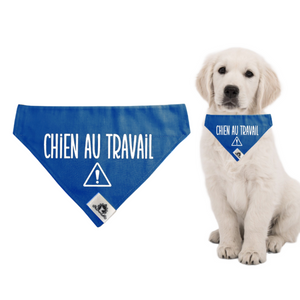 Foulard pour CHIEN AU TRAVAIL