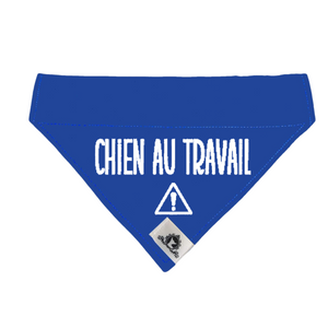 Foulard pour CHIEN AU TRAVAIL