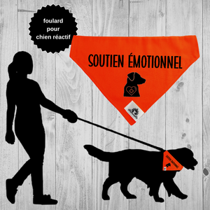 Kit manchon de laisse et foulard pour chien d'assistance SOUTIEN ÉMOTIONNEL
