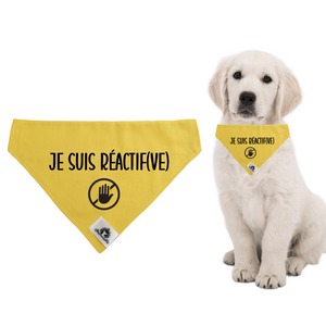 Foulard pour chien - JE SUIS NERVEUX(SE) - Chien anxieux réactif
