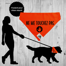 Charger l&#39;image dans la galerie, Foulard pour chien - NE ME TOUCHEZ PAS - Chien anxieux réactif
