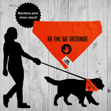 Charger l&#39;image dans la galerie, Foulard pour chien - NE PAS ME DISTRAIRE - Chien anxieux réactif
