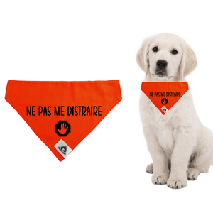 Foulard pour chien - NE PAS ME DISTRAIRE - Chien anxieux réactif