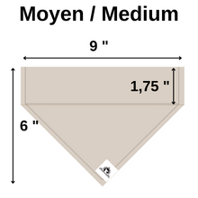 Charger l&#39;image dans la galerie, Kit manchon de laisse et foulard DEMANDEZ AVANT DE CARESSER
