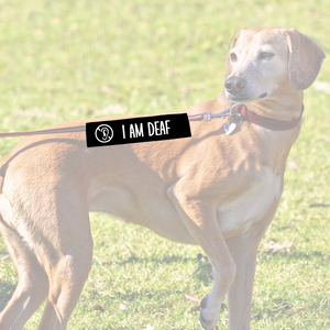 Leash sleeve - I AM DEAF