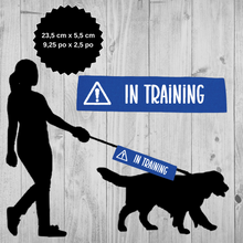 Charger l&#39;image dans la galerie, Leash sleeve - IN TRAINING
