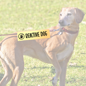 Leash sleeve - REACTIVE DOG