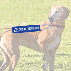 Manchon de laisse CHIEN EN ENTRAÎNEMENT