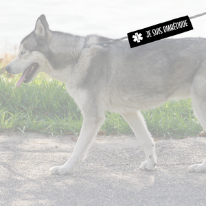 Manchon de laisse pour chien JE SUIS DIABÉTIQUE