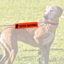Charger l&#39;image dans la galerie, Manchon de laisse pour chien d&#39;assistance SOUTIEN ÉMOTIONNEL
