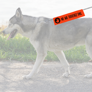 Manchon de laisse NE ME TOUCHEZ PAS pour Chien anxieux réactif