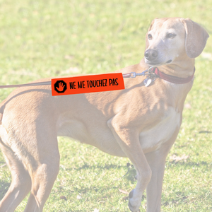 Manchon de laisse NE ME TOUCHEZ PAS pour Chien anxieux réactif