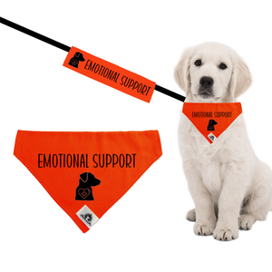 Set of leash sleeve and bandana - EMOTIONAL SUPPORT