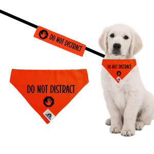 Set of leash sleeve and bandana - DO NOT DISTRACT