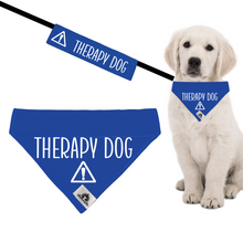 Charger l&#39;image dans la galerie, Set of leash sleeve and bandana - THERAPY DOG
