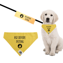 Charger l&#39;image dans la galerie, Set of leash sleeve and bandana - ASK BEFORE PETTING
