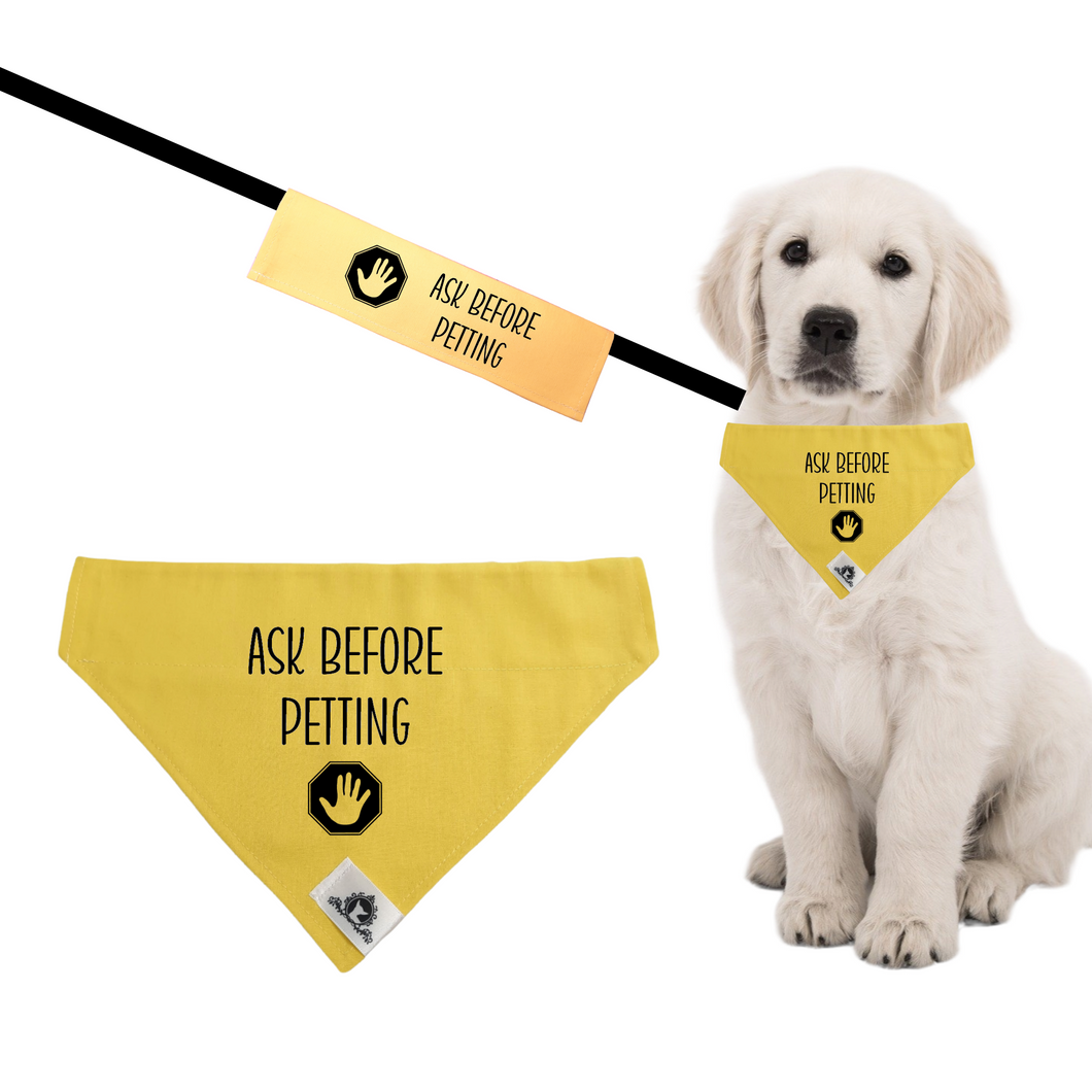 Set of leash sleeve and bandana - ASK BEFORE PETTING