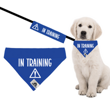 Charger l&#39;image dans la galerie, Set of leash sleeve and bandana - IN TRAINING
