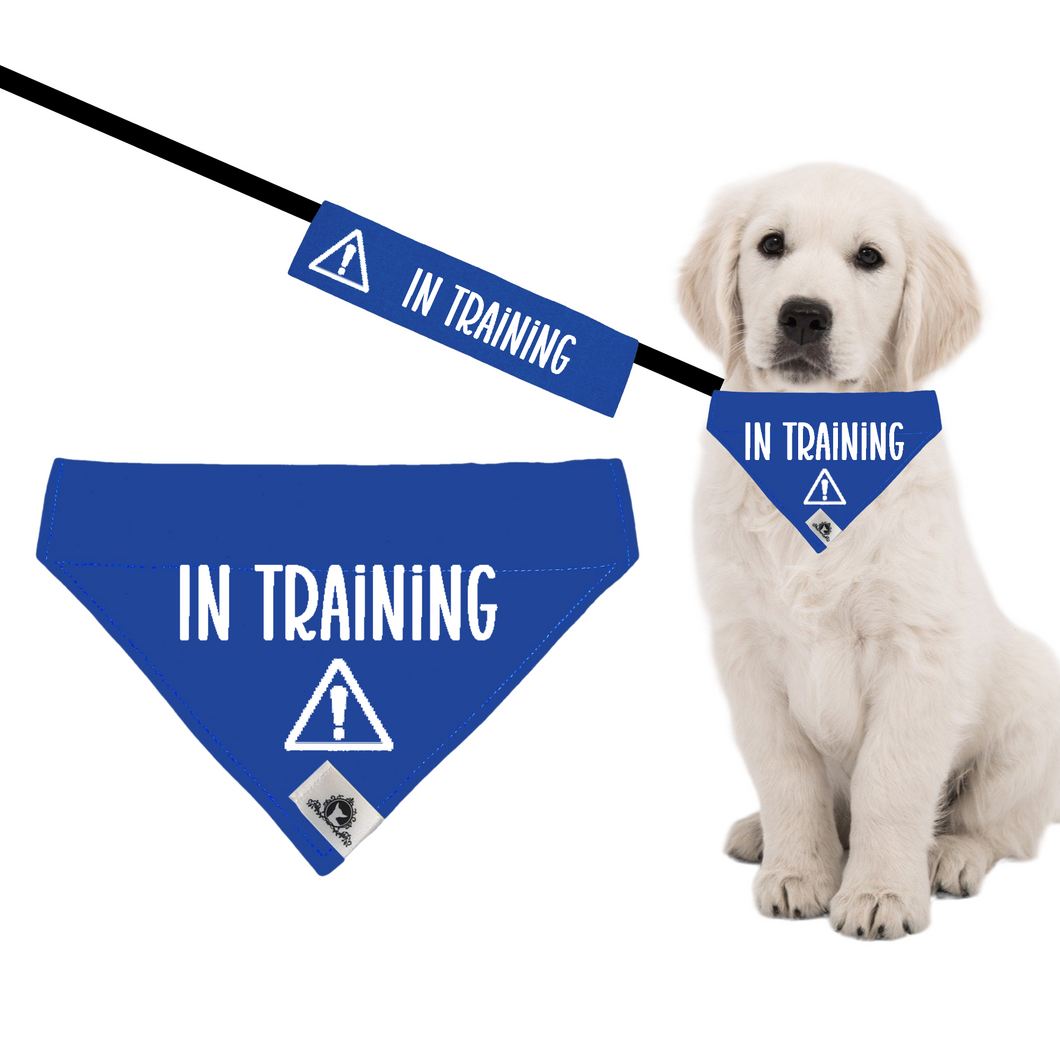 Set of leash sleeve and bandana - IN TRAINING