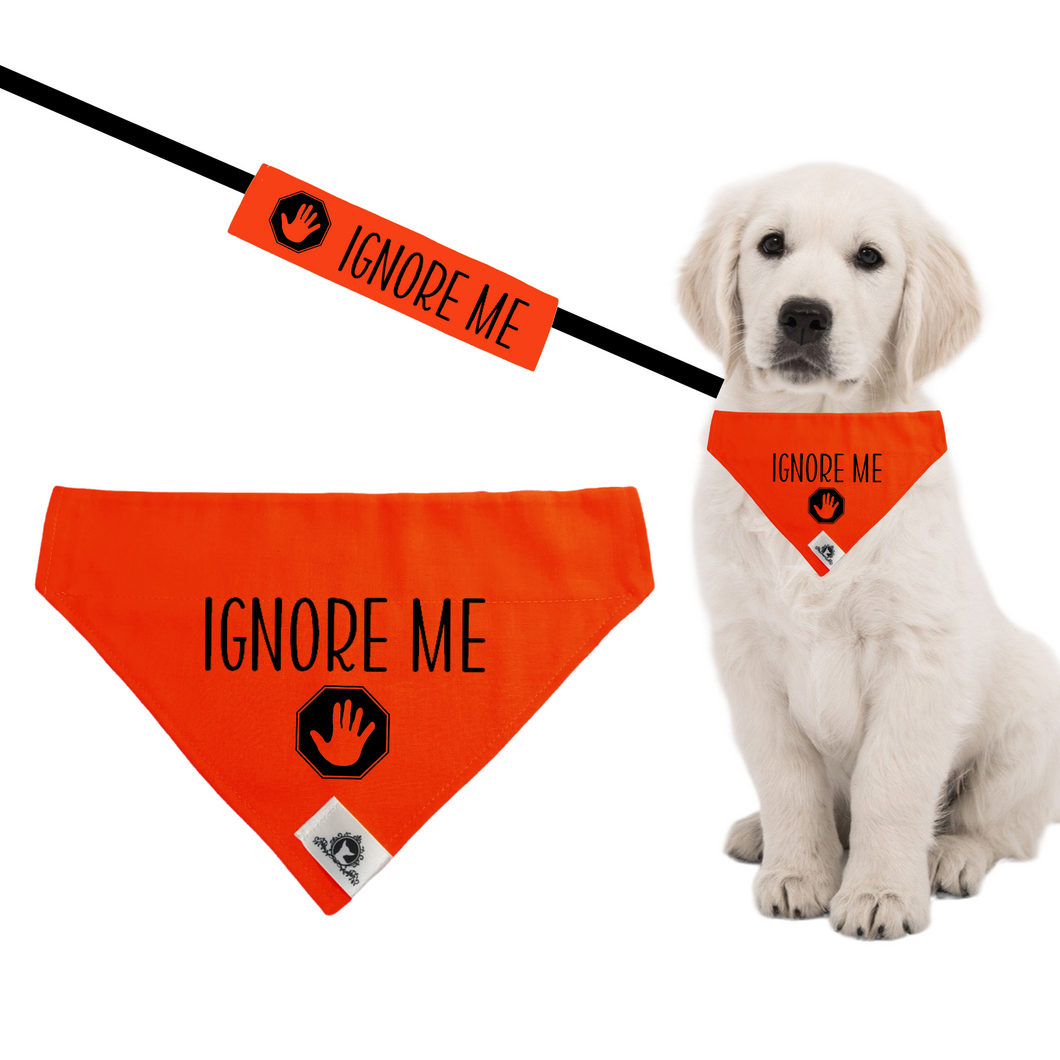 Set of leash sleeve and bandana - IGNORE ME