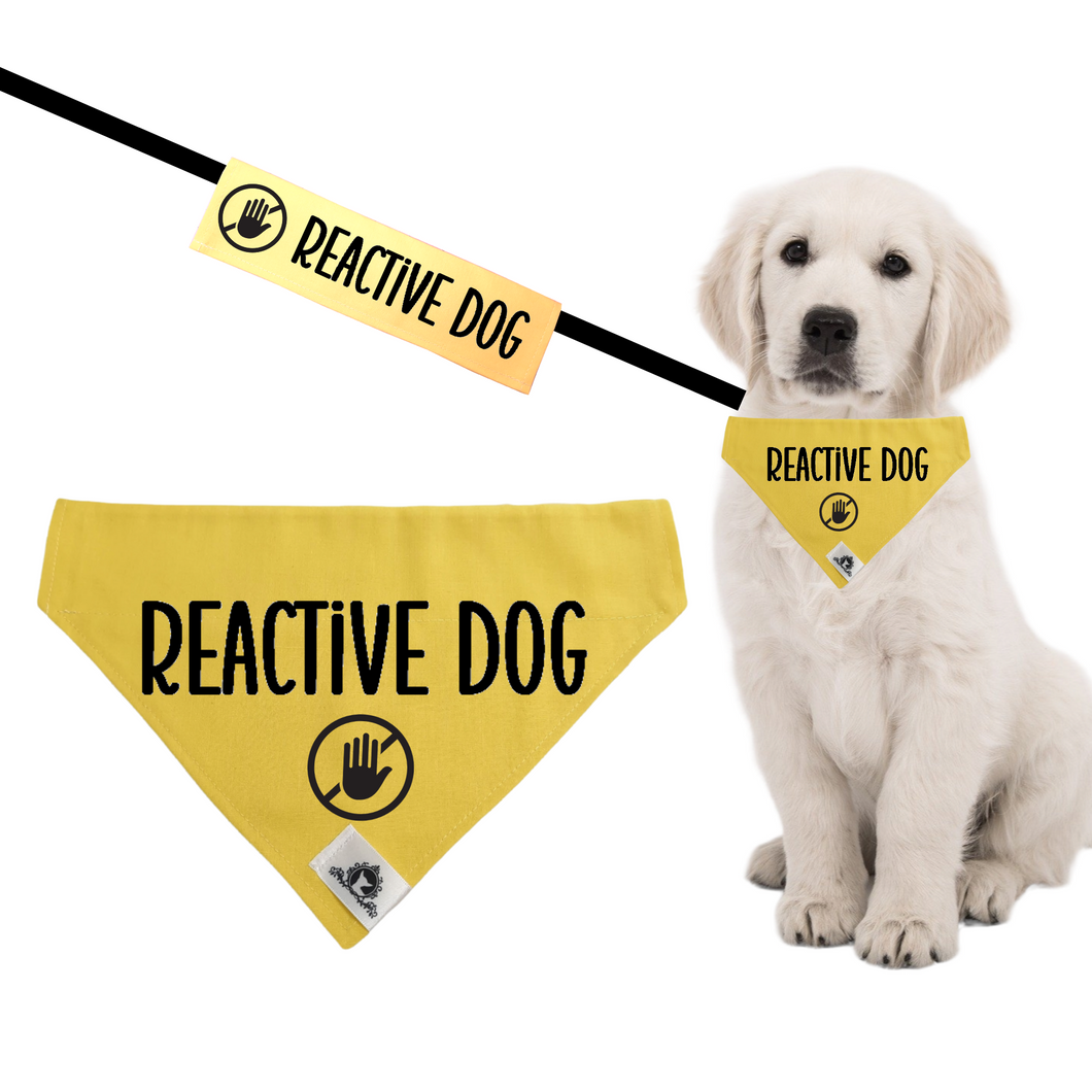 Set of leash sleeve and bandana - REACTIVE DOG