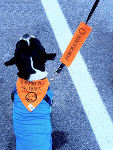 Set of leash sleeve and bandana - DOG AT WORK