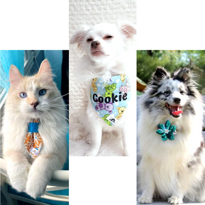 Boutique Attitude Animale.com - Accessoires pour animaux - Collier pour chien - Collier pour chat - Foulard pour chat - Foulard pour chien - Porte-sacs à déchet pour chien - Pochette à gâteries - Sac à gâterie pour chien - Mode design pour animaux - Accessoire pour chien réactif