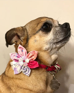 Fleur pour chien ou chat - StV014