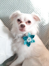 Charger l&#39;image dans la galerie, Fleur pour chien ou chat - StV018
