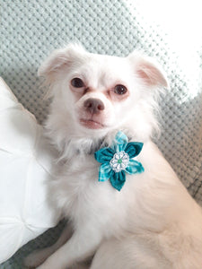 Fleur pour chien ou chat - no 160