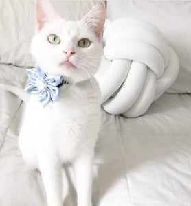 Fleur pour chien ou chat - no 58
