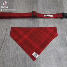 Charger et lire la vidéo dans la visionneuse de la Galerie, Foulard 2 en 1 pour chat et petit chien - Guirlandes de Noël - N004
