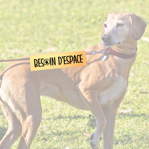 Manchon de laisse BESOIN D'ESPACE pour Chien anxieux réactif