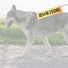 Charger l&#39;image dans la galerie, Manchon de laisse BESOIN D&#39;ESPACE pour Chien anxieux réactif
