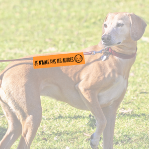 Manchon de laisse JE N'AIME PAS LES AUTRES CHIENS pour Chien anxieux réactif