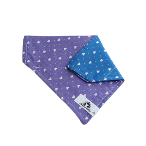 Foulard 2 en 1 pour chat et petit chien - StV021