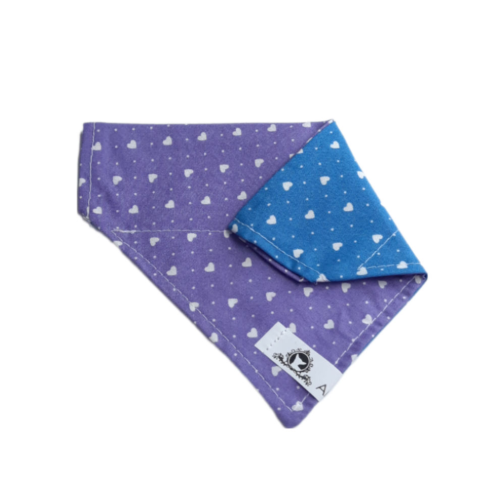 Foulard 2 en 1 pour chat et petit chien - StV021