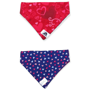 Foulard 2 en 1 pour chat et petit chien - StV037