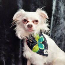 Charger l&#39;image dans la galerie, Foulard 2 en 1 pour chat et petit chien - StV010
