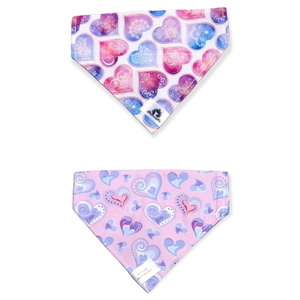 Foulard 2 en 1 pour chat et petit chien - StV030