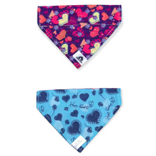 Charger l&#39;image dans la galerie, Foulard 2 en 1 pour chat et petit chien - StV035
